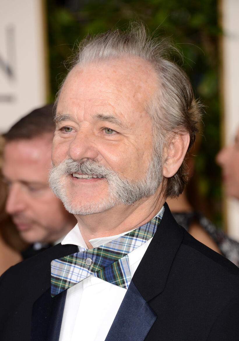 Golden Globes Red Carpet Photos