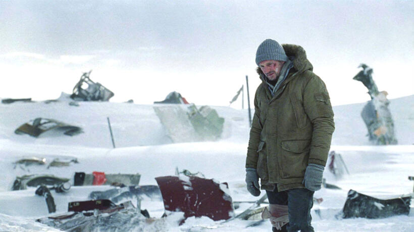 
	Liam Neeson in The Grey
