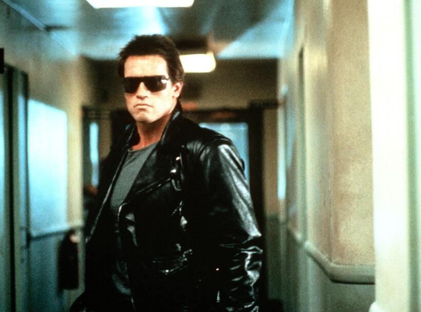 
	The Terminator Arnold Schwarzenegger
