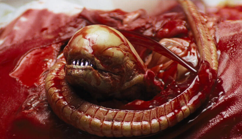 
	The Chestburster (Alien)
