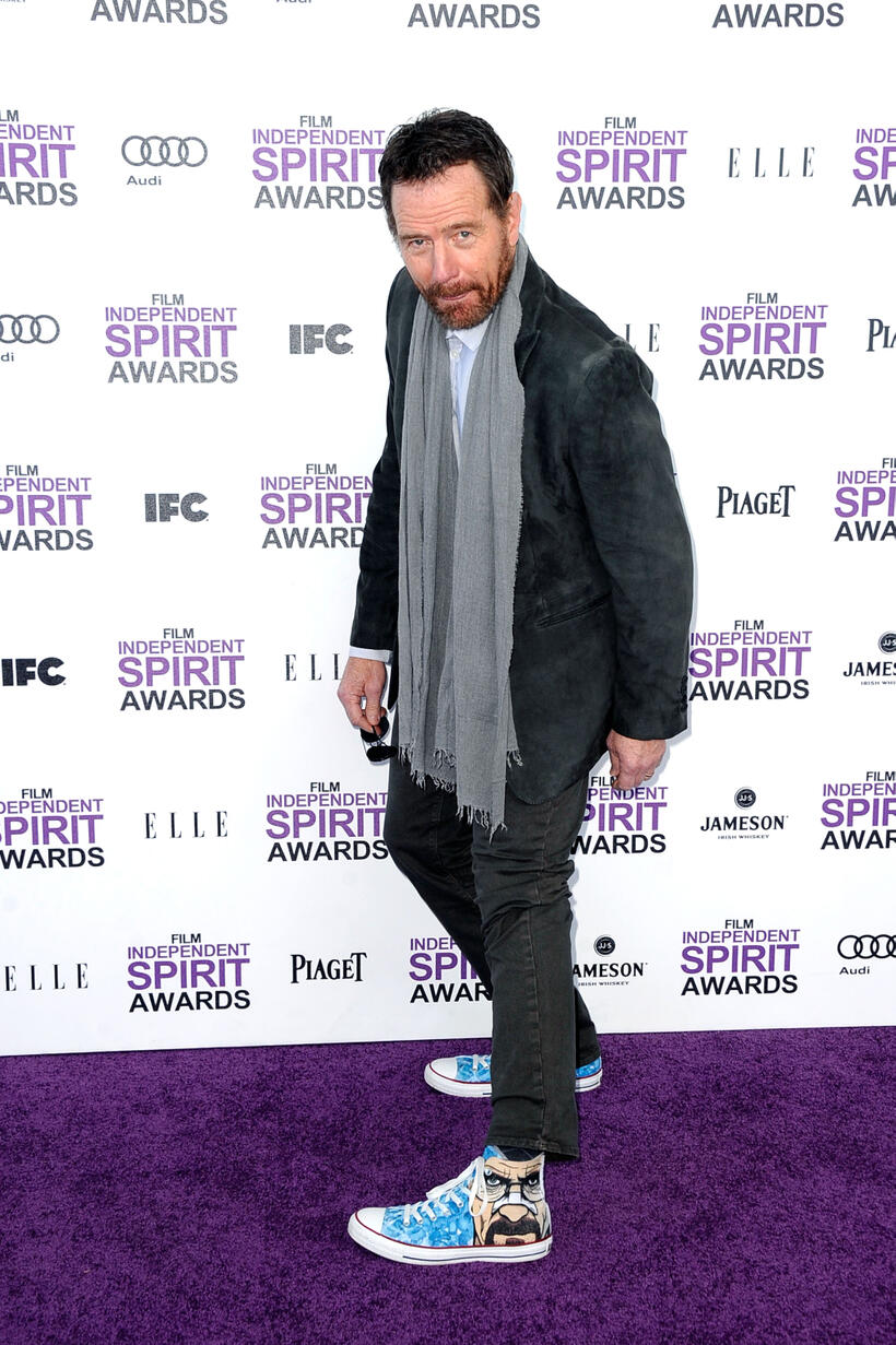 
	The Looks of Bryan Cranston
