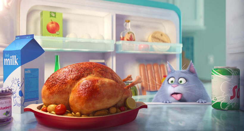 
	The Secret Life of Pets
