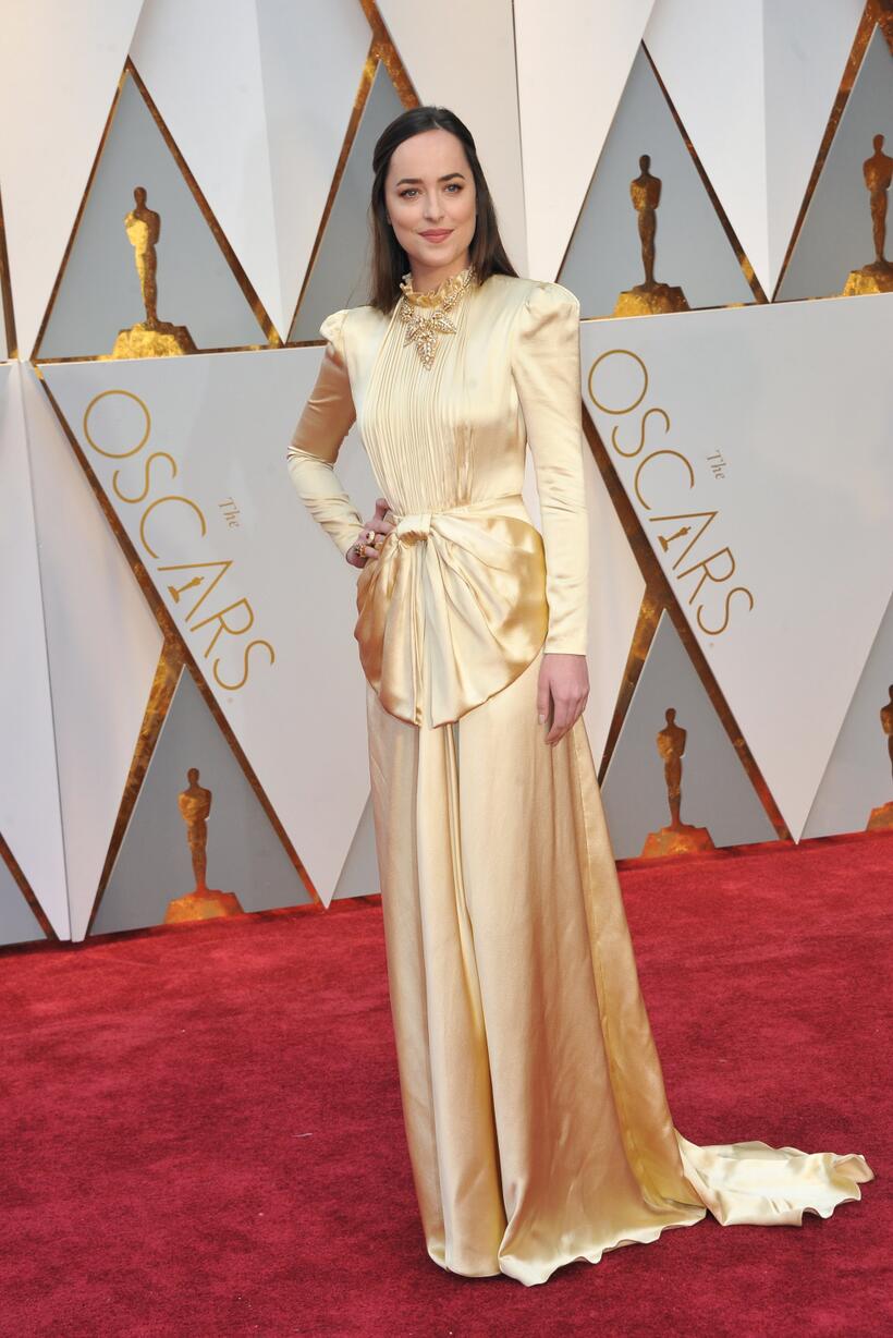 
	The Academy Awards 2017: The Best Red Carpet Looks
