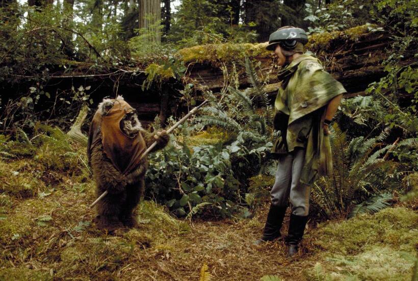 
	Ewoks (Return of the Jedi)

