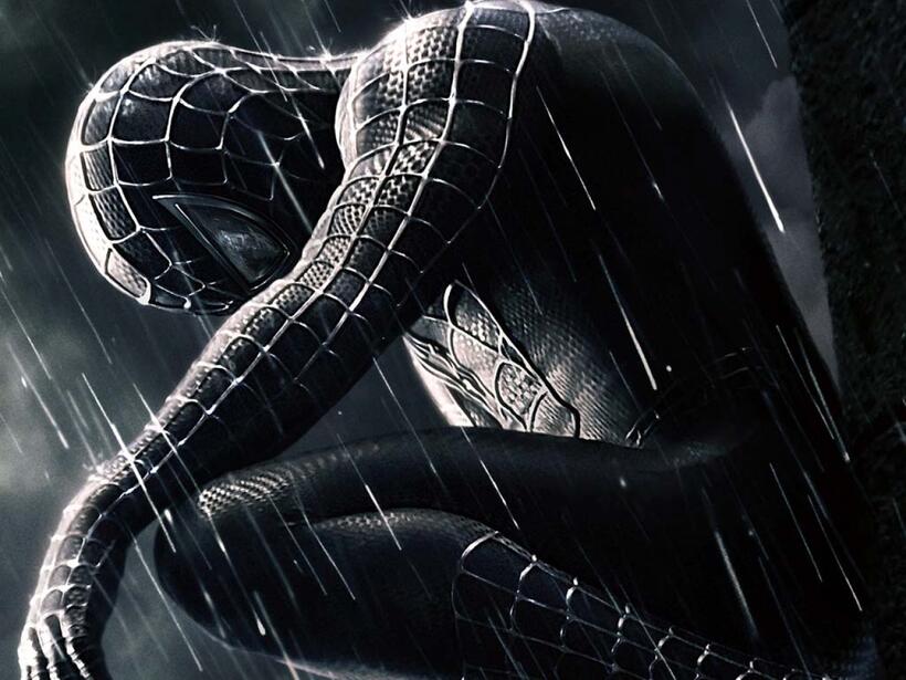 
	The Many Looks of Spider-Man

