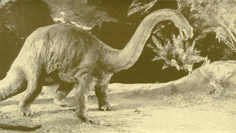 
	The Lost World
