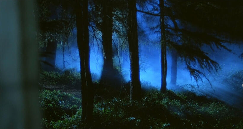 
	Backwoods Horror
