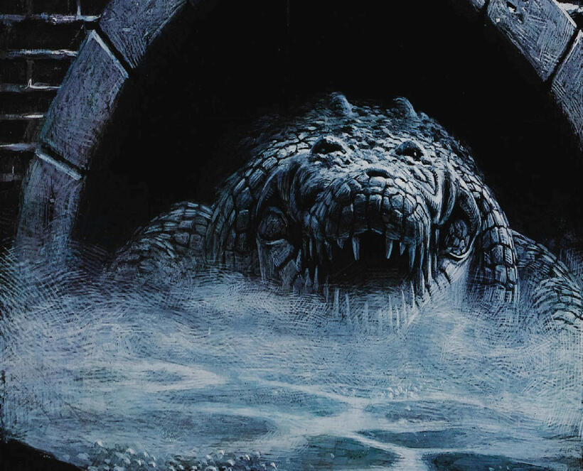 
	Alligator
