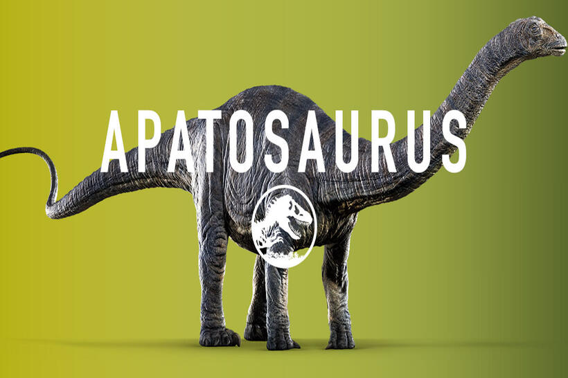
	Apatosaurus
