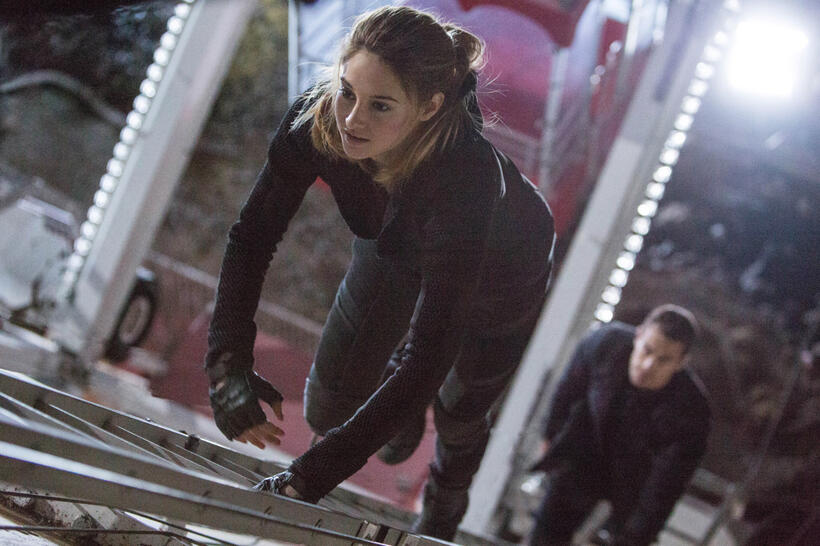 
	Shailene Woodley in Divergent
