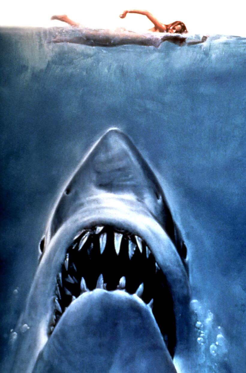 
	JAWS
