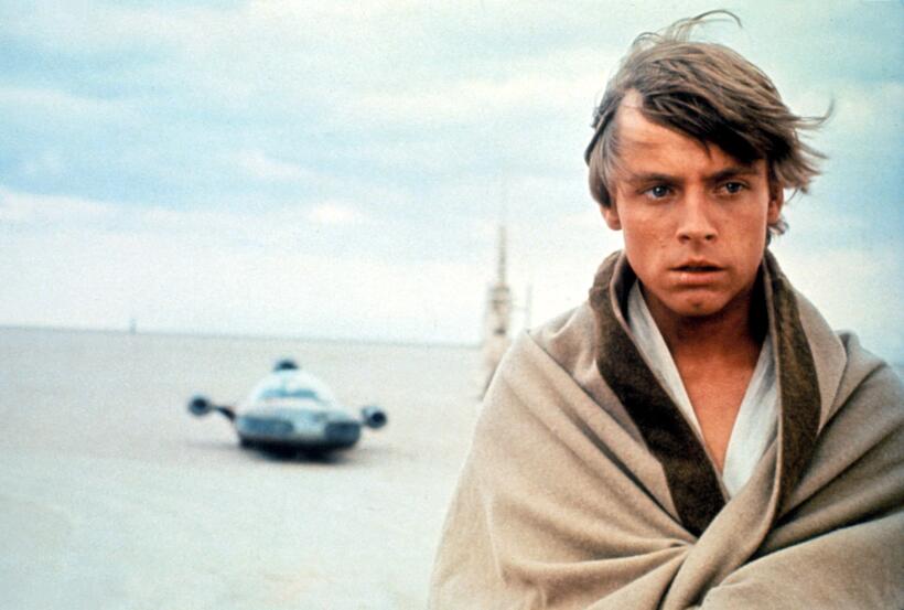 
	Star Wars Luke Skywalker
