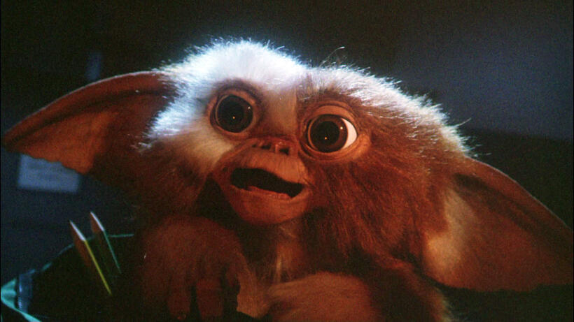 
	Gizmo (Gremlins)
