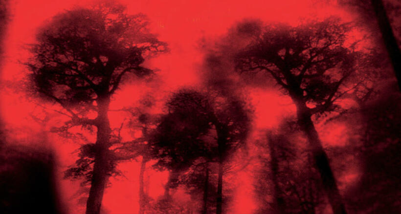 
	Backwoods Horror

