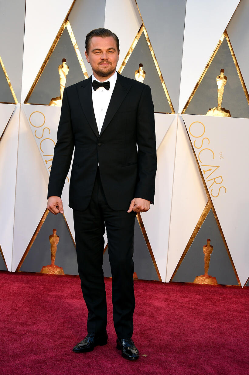 
	The Academy Awards 2016: All the Glitz and Glamour
