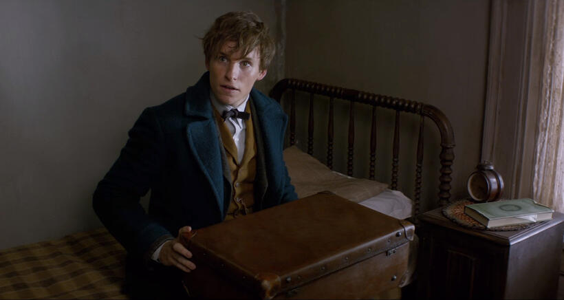 
	Fantastic Beasts and Where to Find Them
