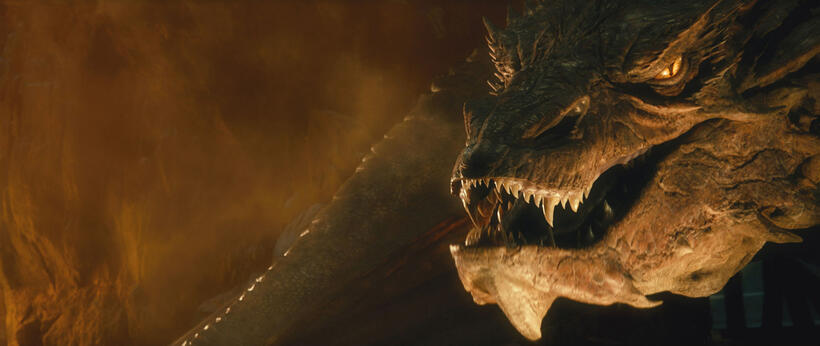 
	The Hobbit: The Desolation of Smaug (2013)
