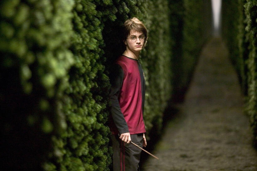
	crazy mazes in movies
