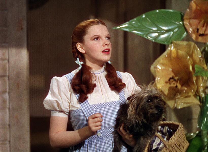 
	THE WIZARD OF OZ Dorothy
