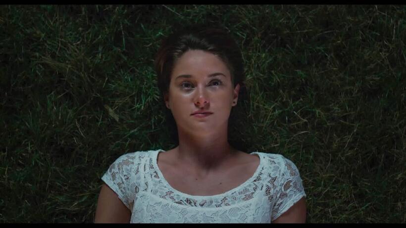 
	Shailene Woodley&nbsp;
