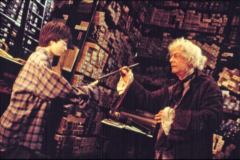
	Harry Potter and the Sorcerer&rsquo;s Stone
