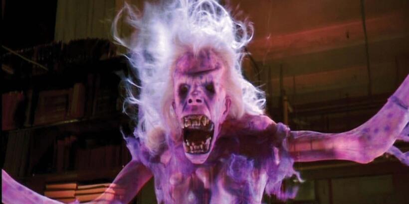 
	The Librarian &ndash; 'Ghostbusters'
