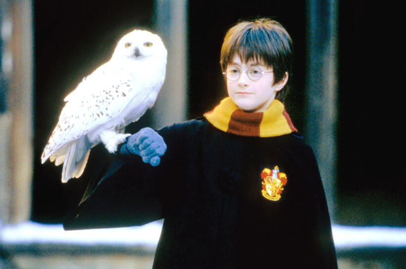 
	Spotlight On: Daniel Radcliffe
