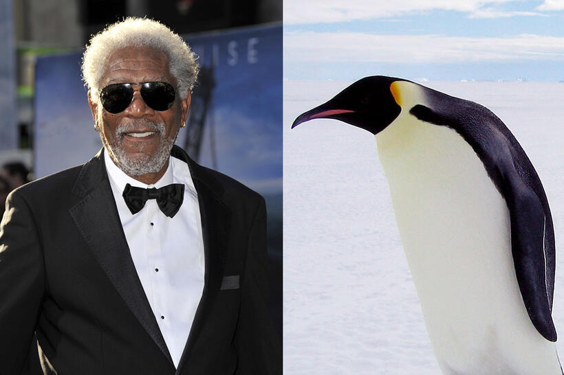 
	Morgan Freeman
