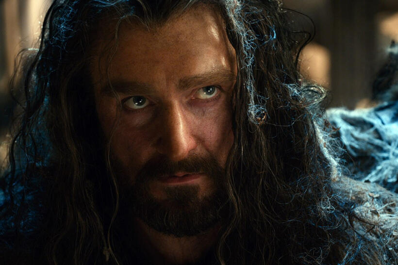 
	Thorin Oakenshield (Richard Armitage)
