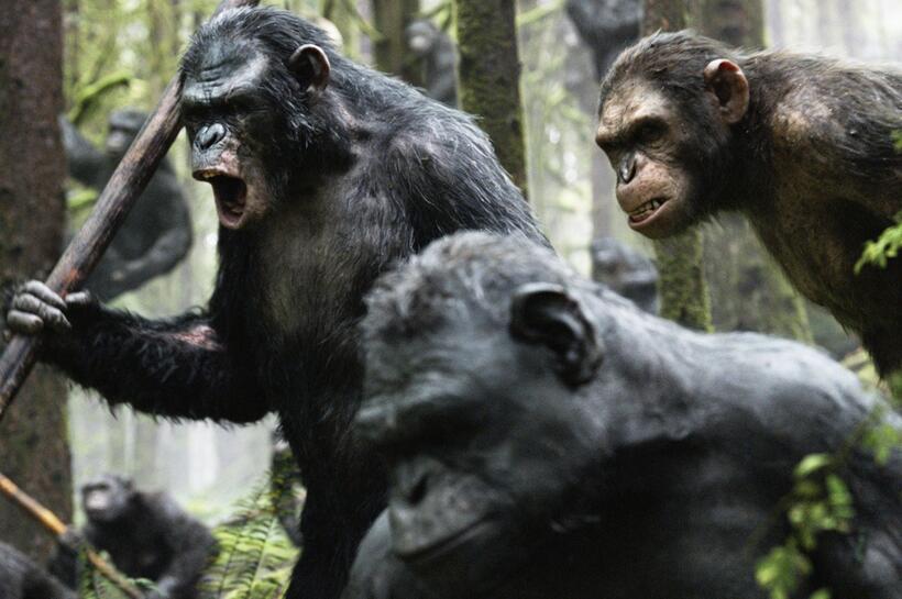 
	Toby Kebbell in &lsquo;Dawn of the Planet of the Apes&rsquo;
