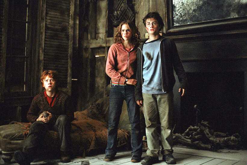 
	Spotlight On: Daniel Radcliffe
