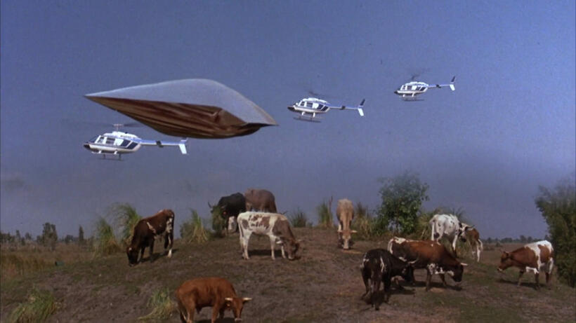 
	10 Must-See Adventure Films Starring Kids: From 'The Goonies' to 'E.T.'
