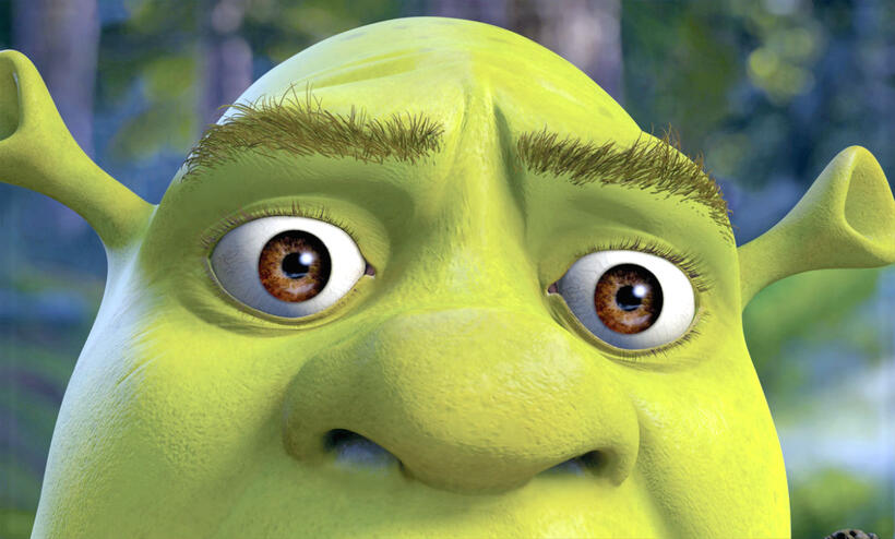 
	Shrek
