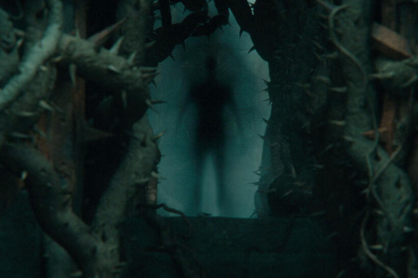 
	Necromancer/Sauron (Benedict Cumberbatch)
