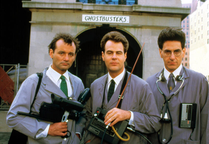 
	Spotlight On: Bill Murray
