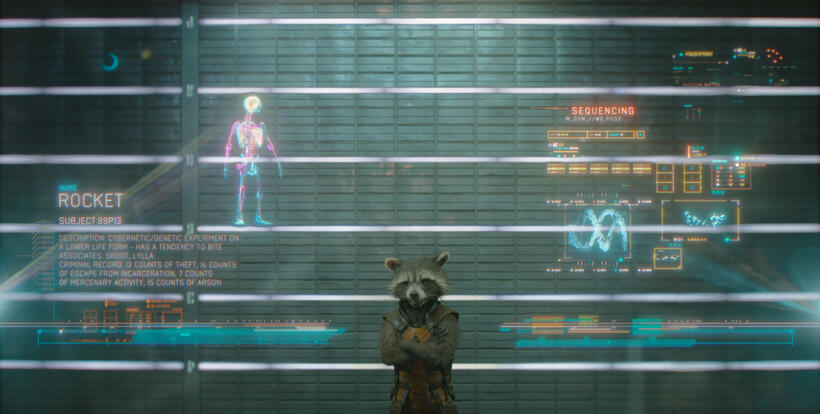 
	Guardians of the Galaxy Rocket Raccoon
