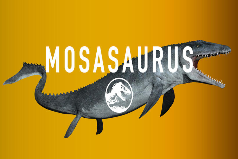 
	Mosasaurus
