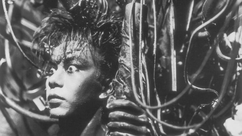 
	Tetsuo the Iron Man
