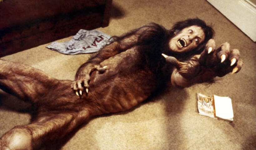 The Ultimate Cult Films