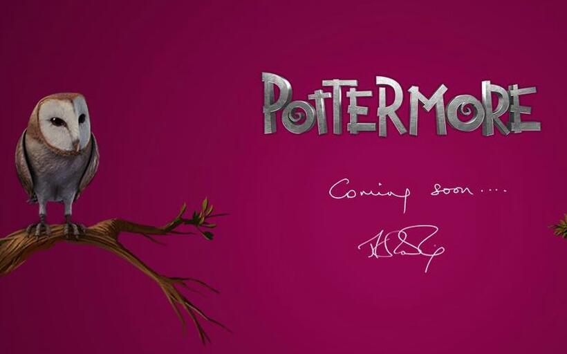 20 Things to Do Before the Final ‘Harry Potter’