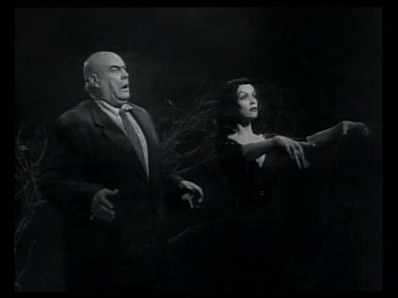 The Ultimate Cult Films