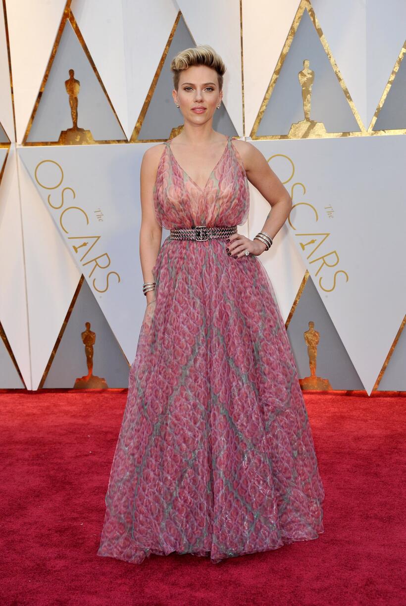 
	The Academy Awards 2017: The Best Red Carpet Looks
