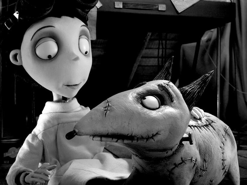 
	10 Stop Motion Films You Must See
