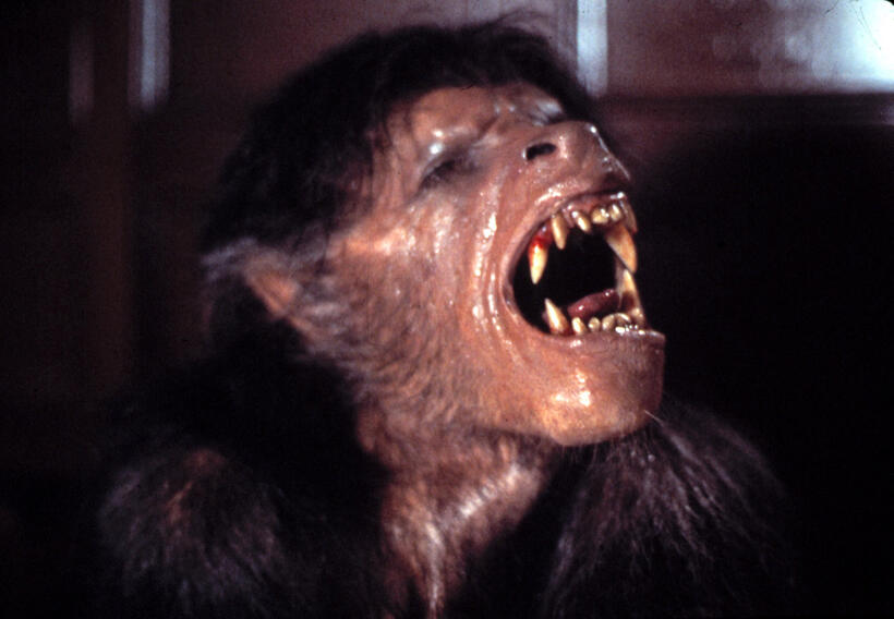 
	An American Werewolf in London
