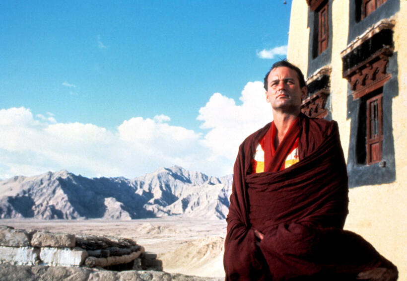 
	Spotlight On: Bill Murray
