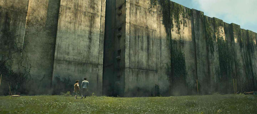 
	The Maze Runner
