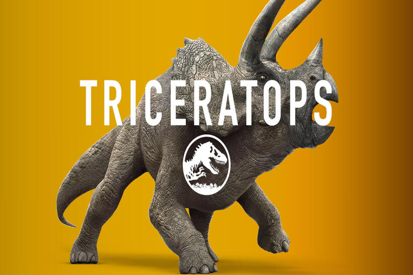 
	Triceratops

