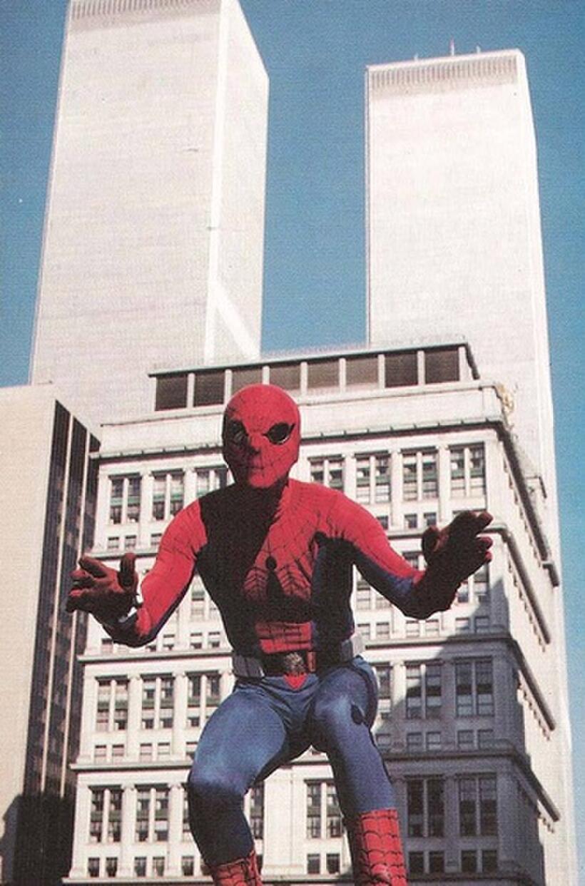 
	The Many Looks of Spider-Man
