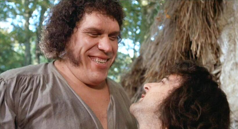 
	Andre the Giant
