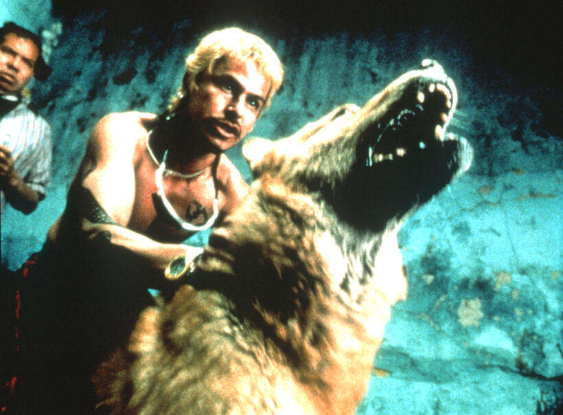 
	Amores Perros
